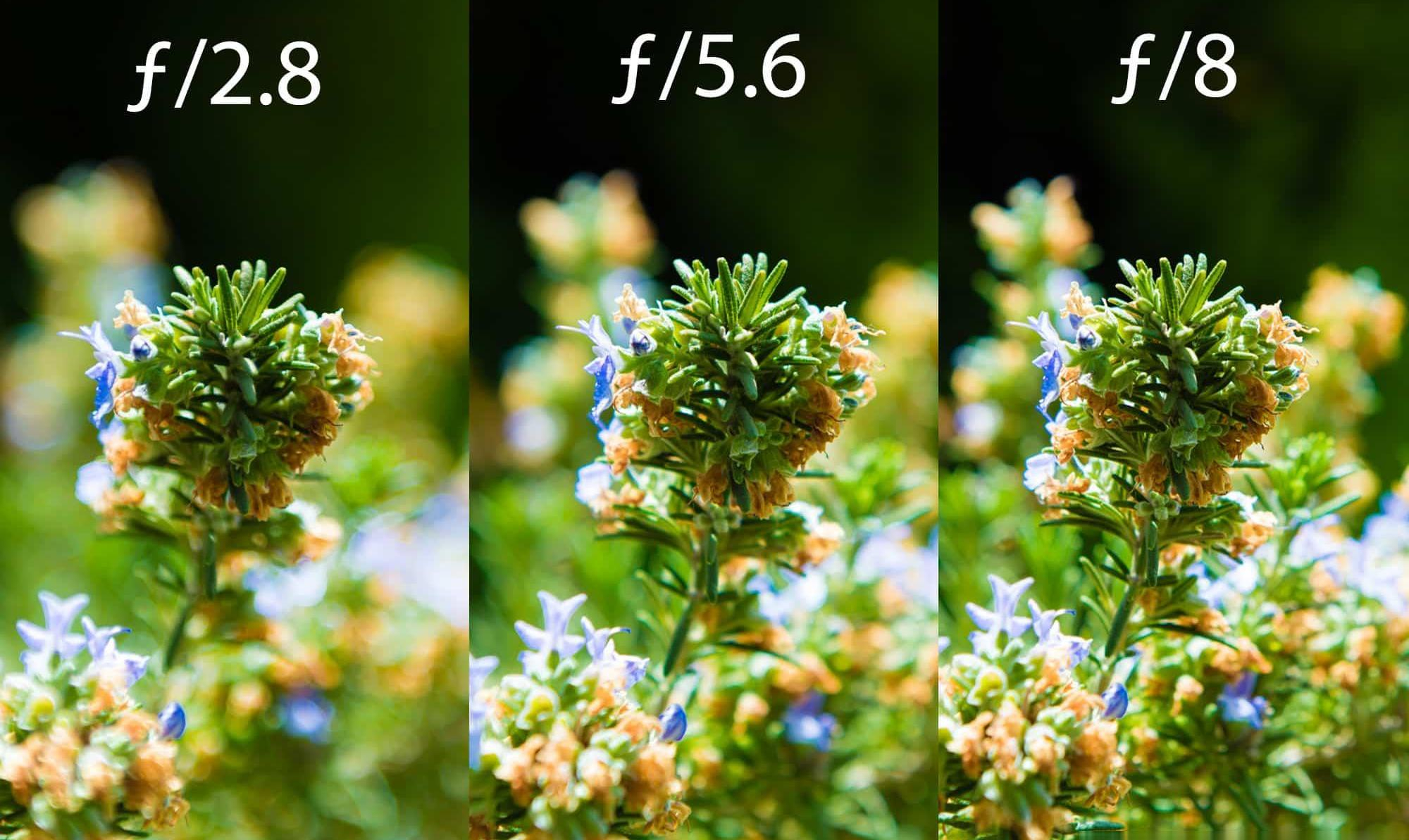 aperture differences 2